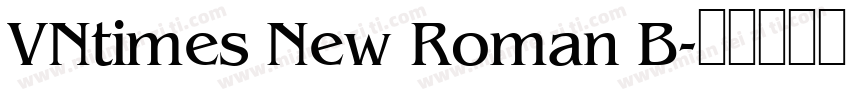 VNtimes New Roman B字体转换